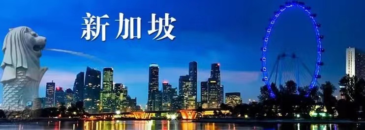 干货分享-新加坡市场分析