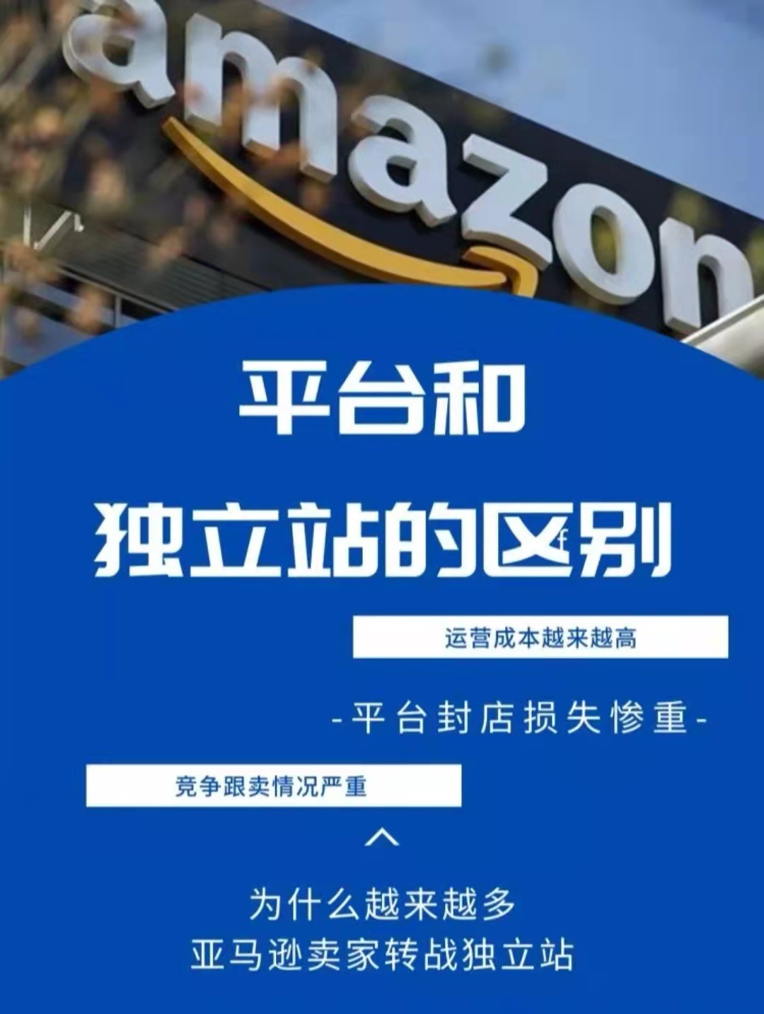 平台和独立站的区别